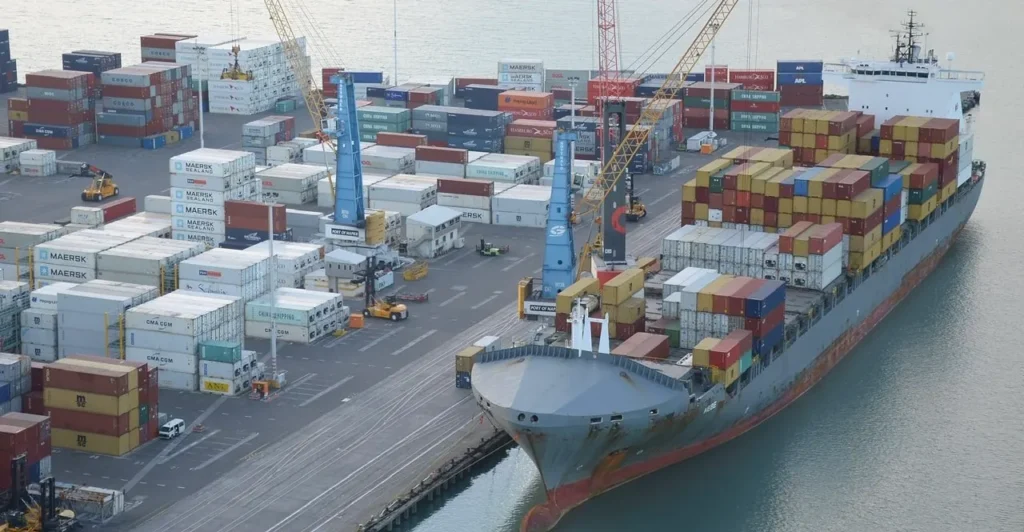 أنواع التفويضات المتاحة للمخلص الجمركي