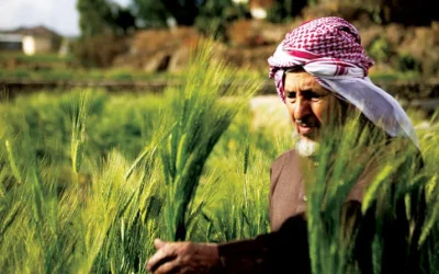 كل ما تحتاج معرفته عن استخراج وتجديد السجل الزراعي في السعودية