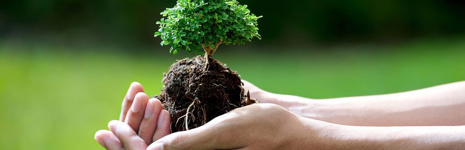 خدمة معقب قرض زراعي سريع