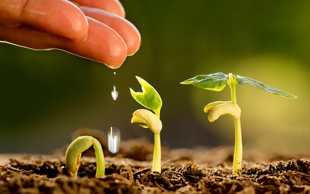 أهم الوثائق المطلوبة للحصول على قرض زراعي عبر معقب