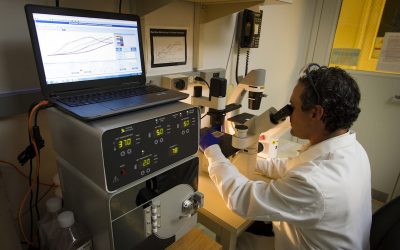 استخراج ترخيص من الثروة المعدنية — الشروط والخطوات ٢٠٢٦ | الانجاز السريع