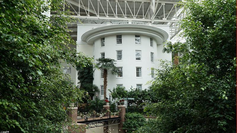 مكتب جوهرة النخيل للخدمات العامة – 0598558903