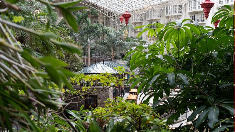 مؤسسة طلال الحربي للتخليص الجمركي – 0598558903