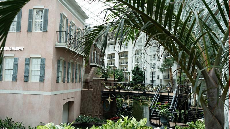 مكتب الثقفي للخدمات العامة – 0598558903