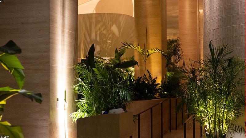 الاستعلام عن شهادة إتمام البناء وإصدارها إلكترونيًا