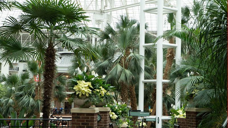 تعديل اسم الفخذ في الأحوال المدنية بالسعودية: الشروط والإجراءات الكاملة